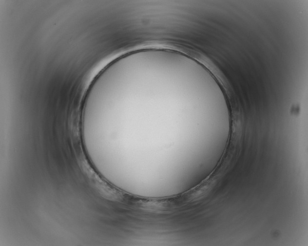 X0000112151004200908281336