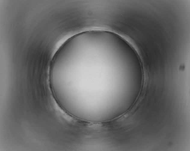 X0000112151006200908281336