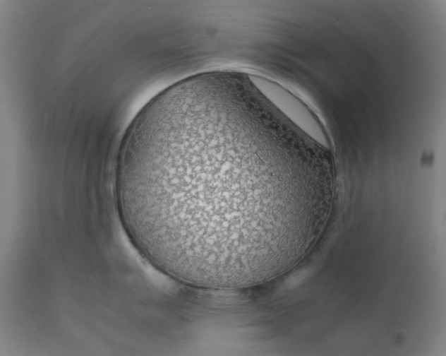 X0000112151007200908281336