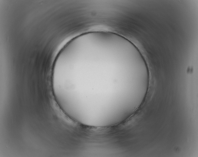 X0000112151008200908281336