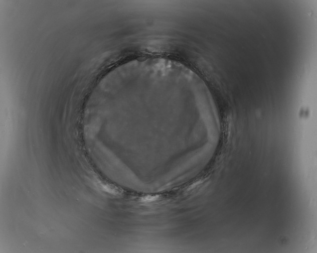 X0000112151009200908281335