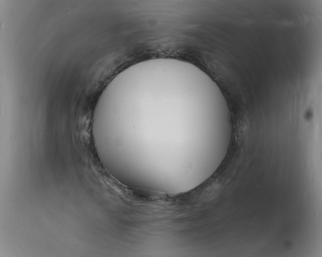 X0000112151010200908281335