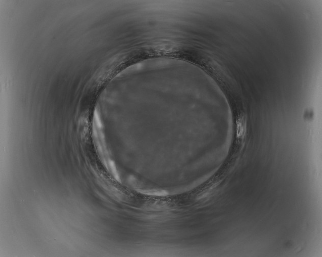 X0000112151011200908281335