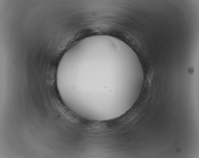 X0000112151012200908281335
