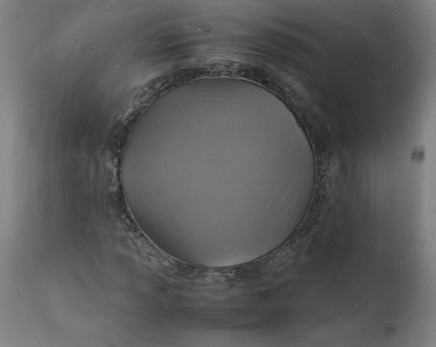 X0000112151013200908281335