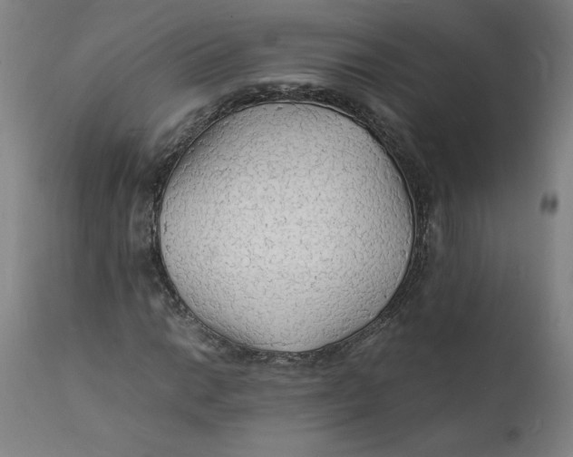 X0000112151014200908281335