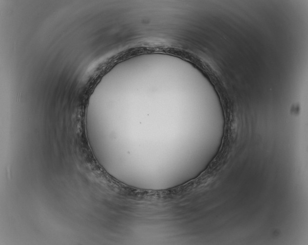 X0000112151016200908281335
