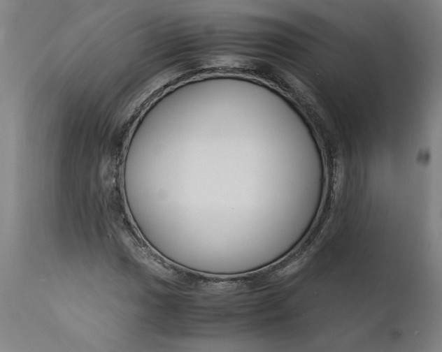 X0000112151017200908281335