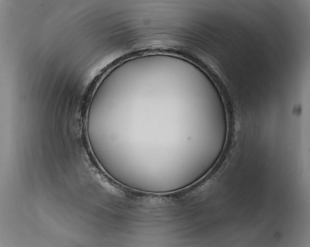X0000112151018200908281335