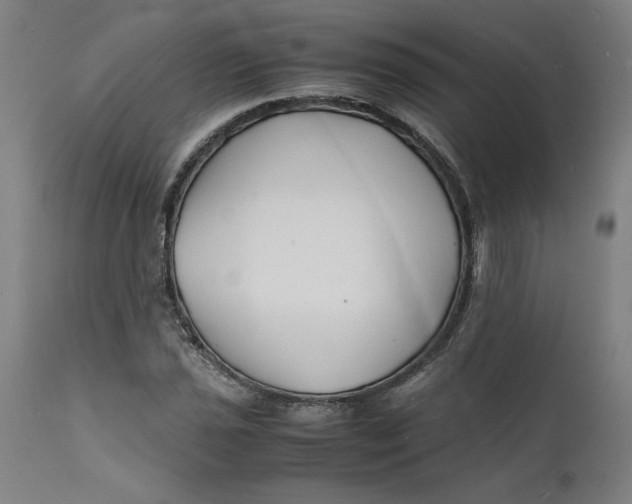 X0000112151021200908281335