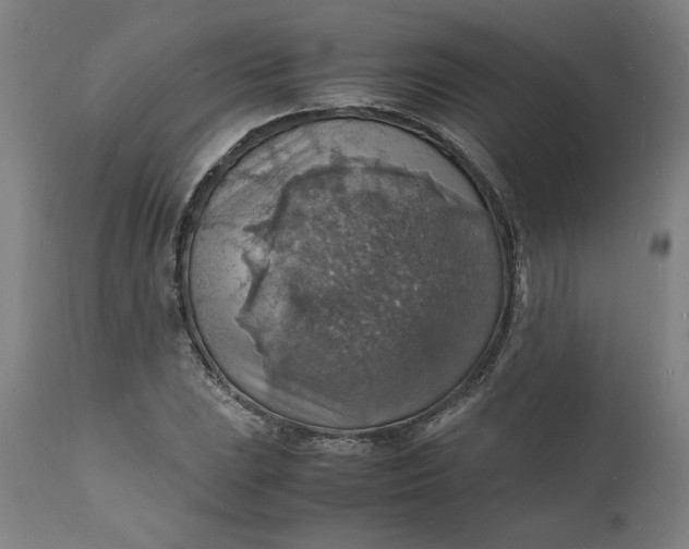 X0000112151023200908281335