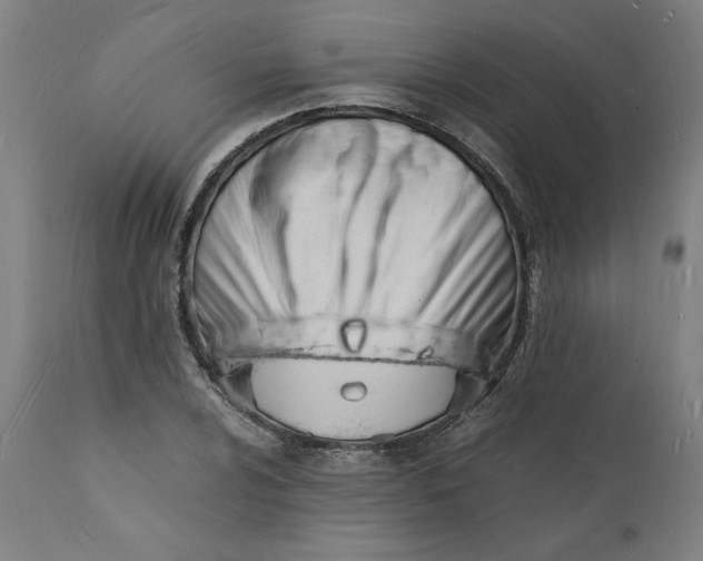 X0000112151024200908281335
