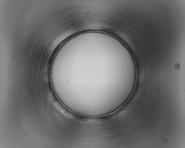 X0000112151026200908281335