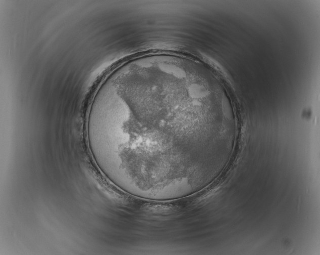 X0000112151027200908281335