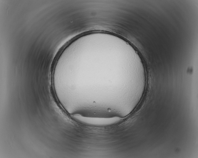 X0000112151028200908281335
