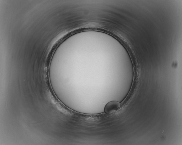 X0000112151029200908281335