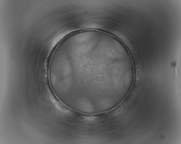 X0000112151031200908281335