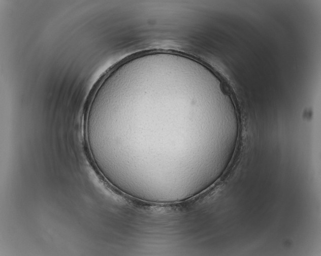 X0000112151032200908281335