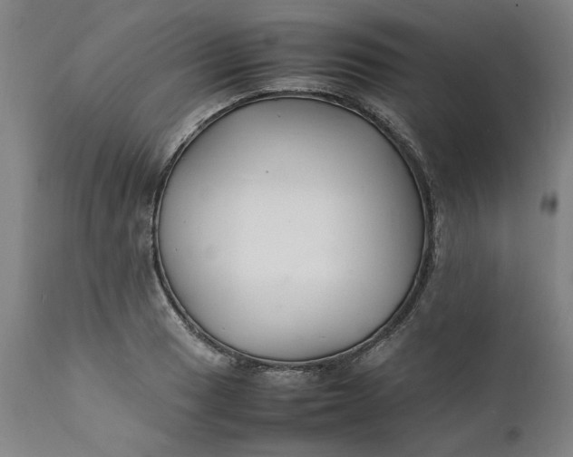 X0000112151033200908281335