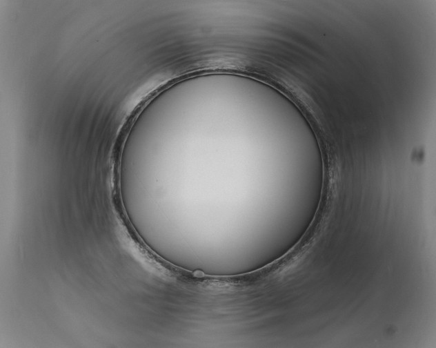 X0000112151034200908281335