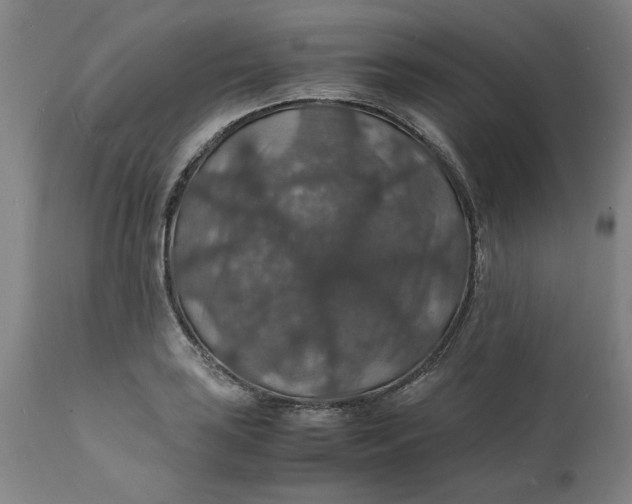 X0000112151035200908281335
