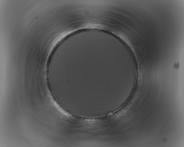 X0000112151037200908281335