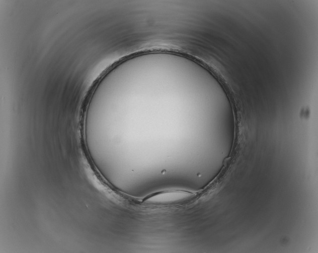 X0000112151038200908281335
