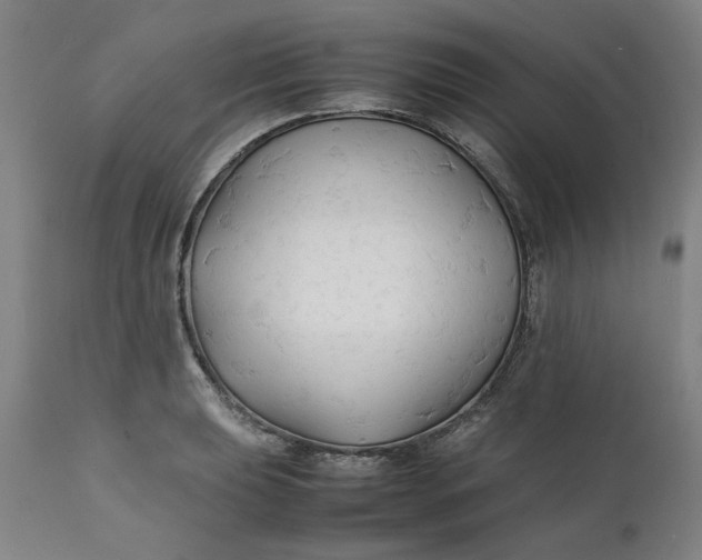 X0000112151039200908281335