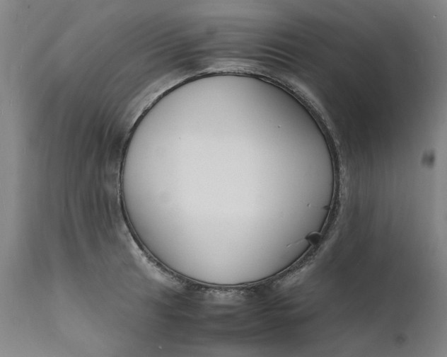 X0000112151041200908281335
