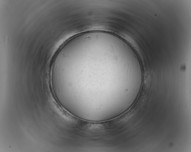 X0000112151043200908281335