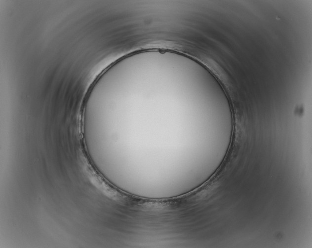 X0000112151044200908281335