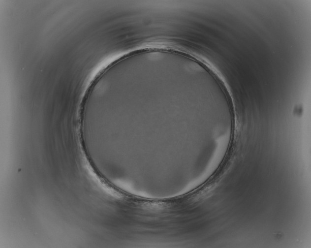 X0000112151045200908281335