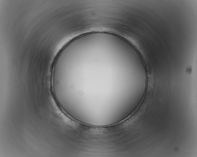 X0000112151046200908281335