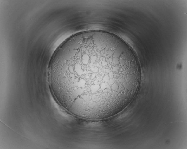 X0000112151047200908281335
