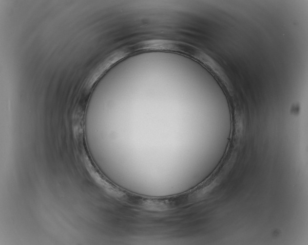 X0000112151049200908281335