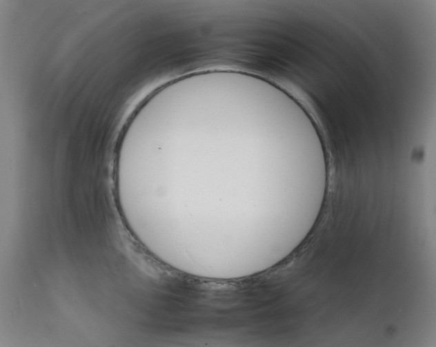 X0000112151051200908281336