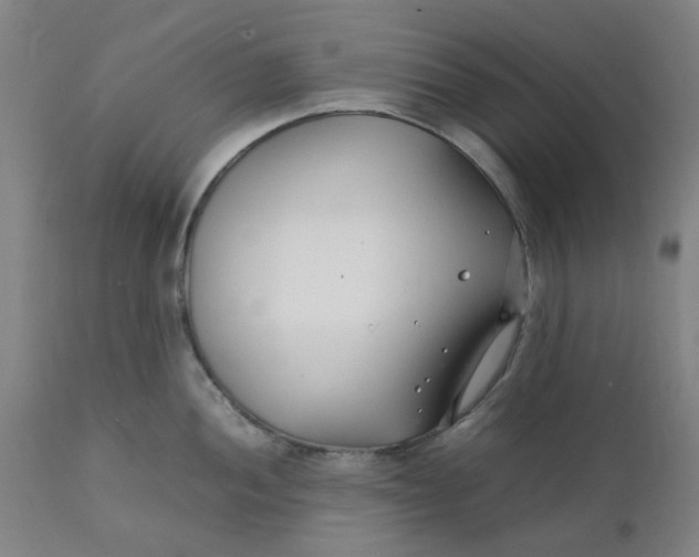 X0000112151052200908281336