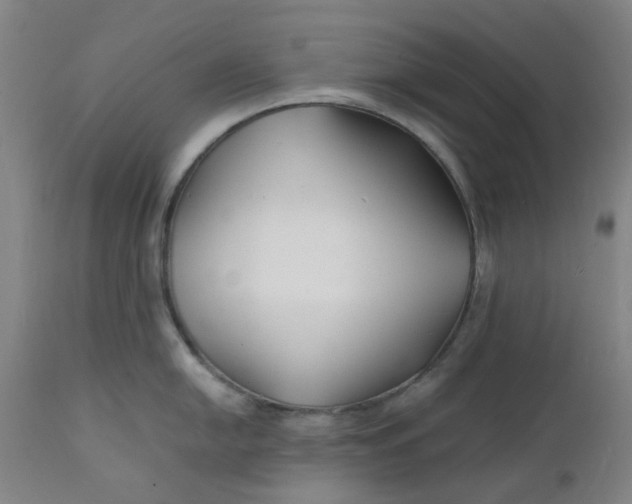 X0000112151054200908281336