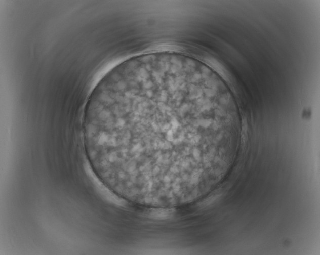 X0000112151055200908281336