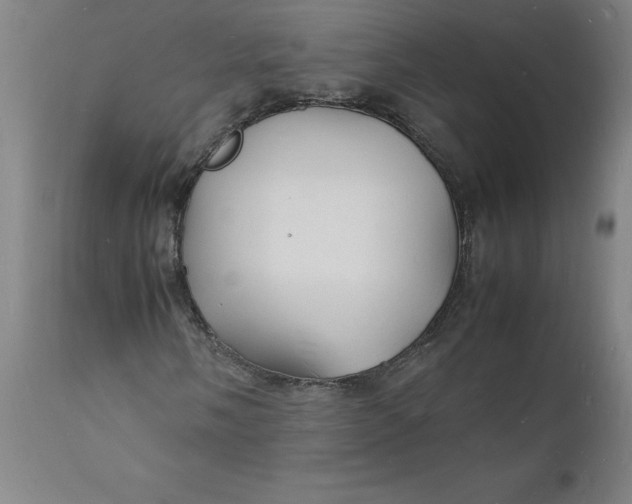 X0000112151058200908281335