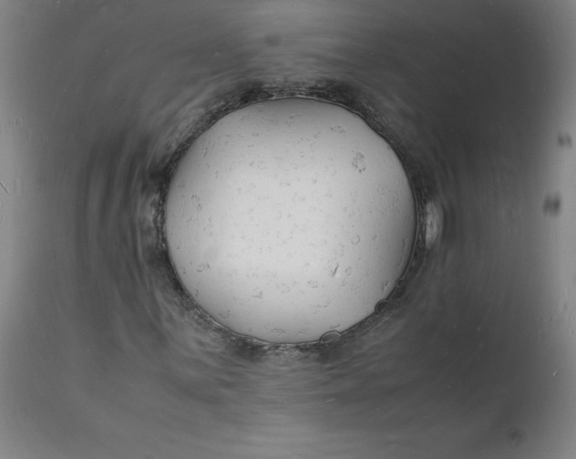 X0000112151059200908281335