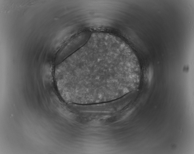 X0000112151060200908281335