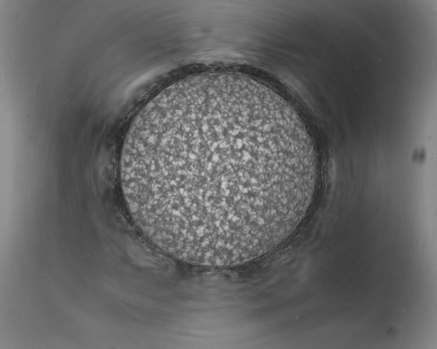 X0000112151063200908281335