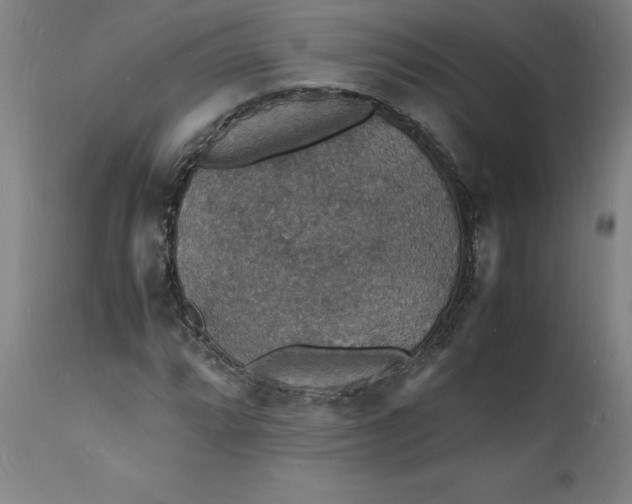 X0000112151064200908281335