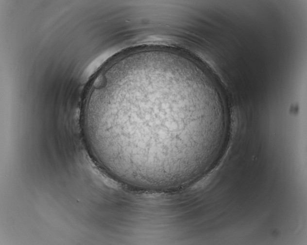 X0000112151066200908281335