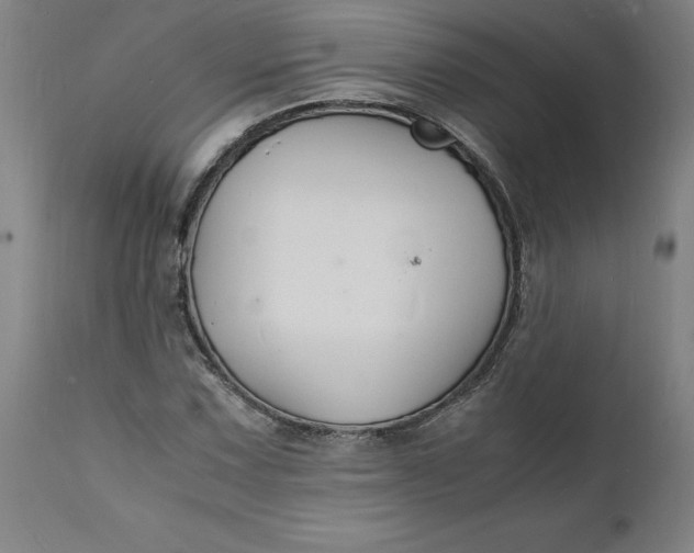 X0000112151067200908281335