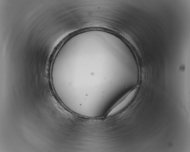 X0000112151068200908281335