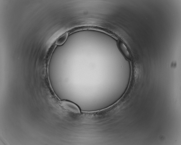 X0000112151069200908281335