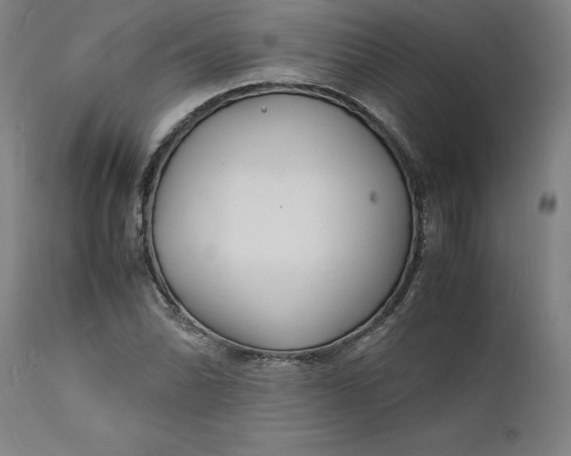 X0000112151070200908281335