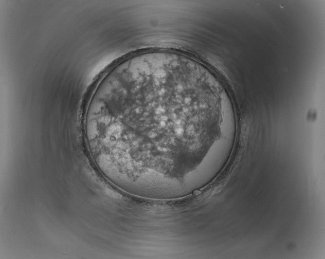 X0000112151071200908281335